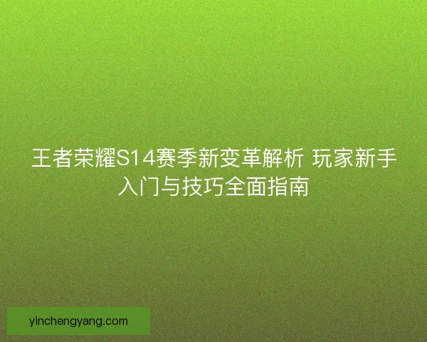 王者荣耀S14赛季新变革解析 玩家新手入门与技巧全面指南